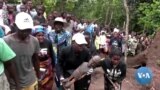 Temporary return of statue to Congo symbolizes forest restoration