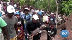 Temporary return of statue to Congo symbolizes forest restoration