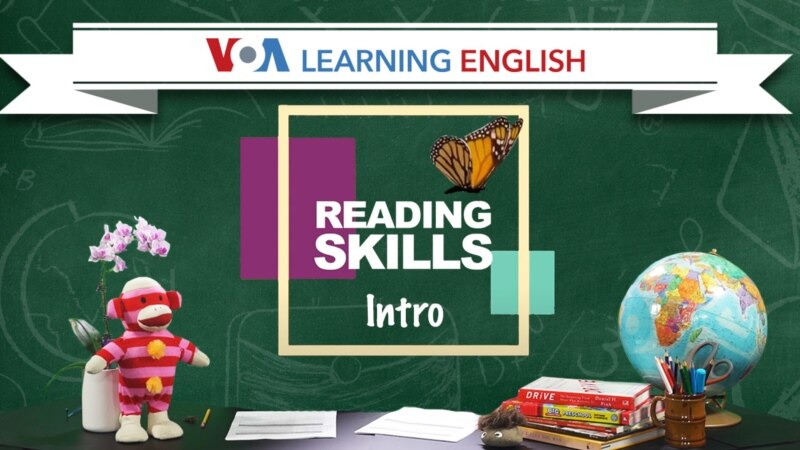 Early Literacy: Introduction to Reading Skills