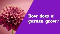 Apprenons l’anglais avec Anna, épisode 12: "How does a garden grow?"