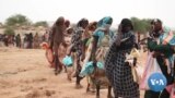 Sudanese IDP’s Document Fleeing Conflict