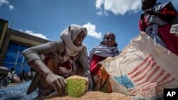 Seorang wanita Etiopia menakar gandum untuk dibagikan kepada setiap keluarga yang menunggu bantuan pangan di wilayah Tigray di Etiopia utara (foto: dok). 