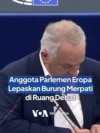 Anggota Parlemen Eropa Lepaskan Burung Merpati di Ruang Debat