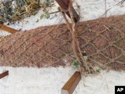 Logs of coconut husk known as coir are shown on the bank of the Shark River in Neptune, N.J., Jan. 31, 2023. (AP Photo/Wayne Parry)