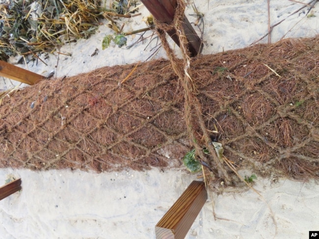 Logs of coconut husk known as coir are shown on the bank of the Shark River in Neptune, N.J., Jan. 31, 2023. (AP Photo/Wayne Parry)