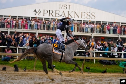 Interfaccia di registrazione Prewin su dispositivo mobile