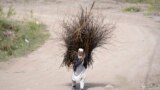 An elderly man carries firewood on his back on the outskirts of Peshawar, Pakistan, March 18, 2023. 