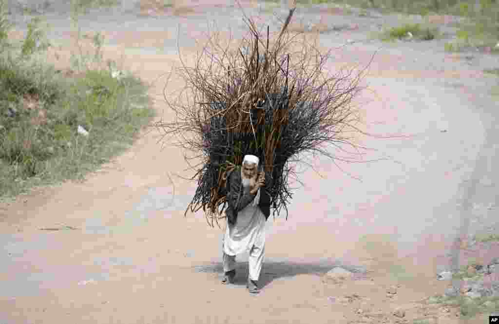 Човек носи огревно дрво на грб на периферијата на Пешавар, Пакистан.