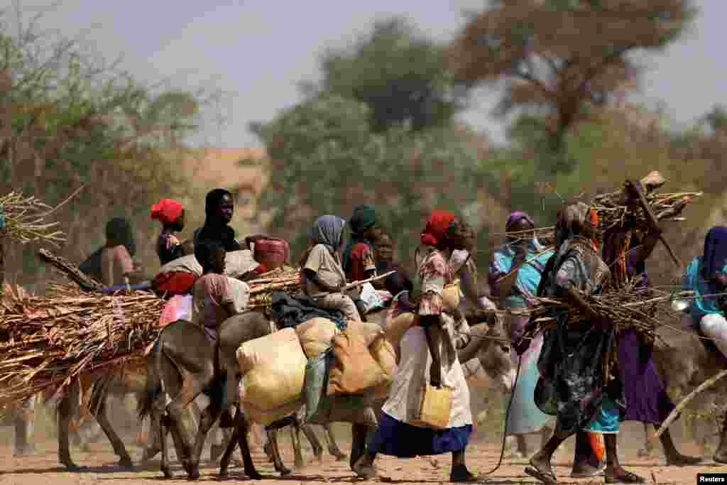 Para pengungsi Sudan yang melarikan diri dari kekerasan di wilayah Darfur Sudan dan baru tiba mengendarai keledai mereka, dekat perbatasan antara Sudan dan Chad di Goungour, Chad, 8 Mei 2023. (Reuters)&nbsp;