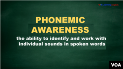 PHONEMIC AWARENESS