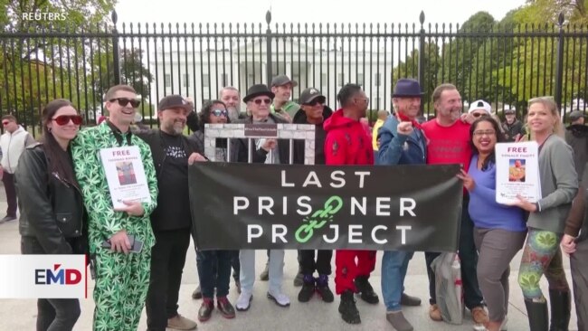 Trump y Biden se muestran cautos respecto a la cuestión de la marihuana