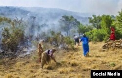 جمعی از زنان داوطلب در حال تلاش برای مهار آتش‌سوزی اطراف مریوان