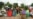 Cyclone Freddy Increases Health Risks in Southern African Countries