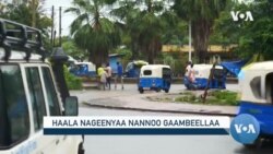 Naannoo Gaambeellaatti Tasgabbii Bu’eyyuu Haalli Nageenyaa Sodaachisaa Tahuu Dubbatu Jiraattonni