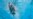 Olympics: Australia takes early lead against US; Day 1 of swimming