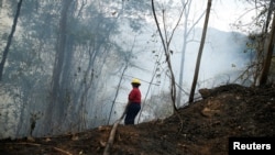 A volunteer of the Central University of Venezuela firefighter brigade battles a wildfire in the Henri Pittier National Park in Maracay, Venezuela, March 29, 2024. 