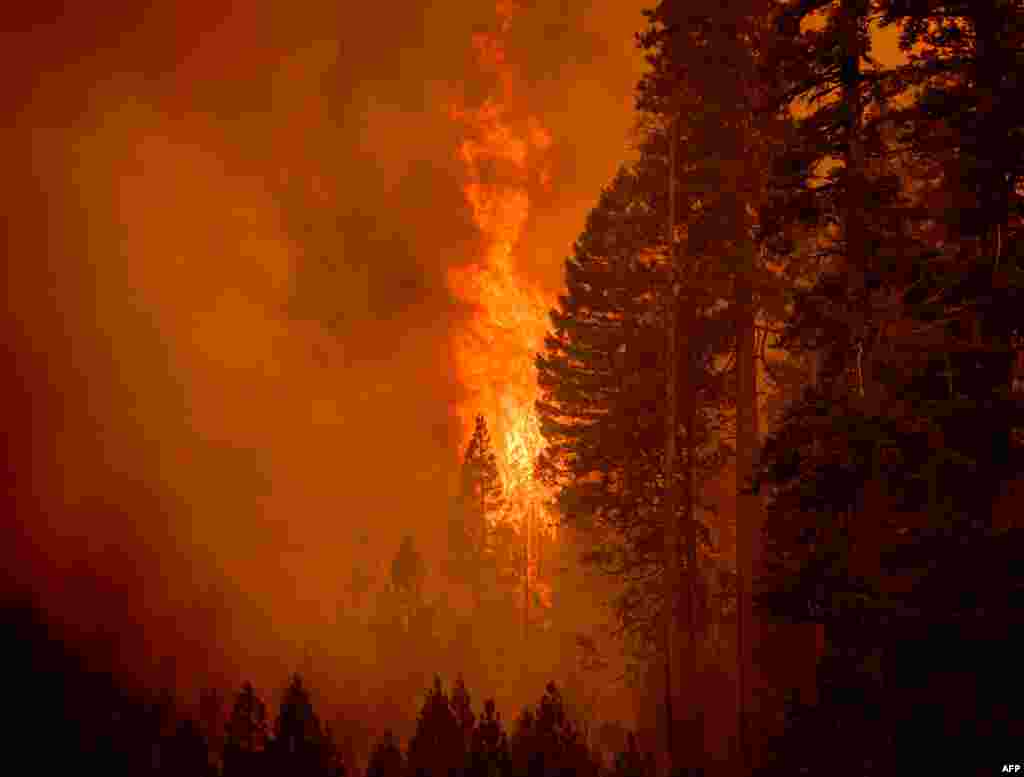 Flames stretch hundreds of feet into the air as the Park fire approaches in Tehama County's Mill Creek area of California, Aug. 7, 2024. 