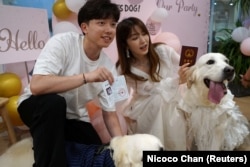 Dog owners Rye Ling and Gigi Chen pose with newly married golden retrievers Bree and Bond while holding their made-up marriage certificates, in Shanghai, China June 29, 2024. (REUTERS/Nicoco Chan)