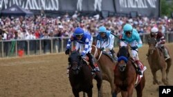 National Treasure, second from right, with jockey John Velazquez, edges out Blazing Sevens, with jockey Irad Ortiz Jr., left, to win the148th running of the Preakness Stakes horse race at Pimlico Race Course, May 20, 2023, in Baltimore, Maryland.