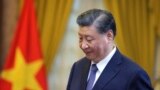 中国国家主席习近平在河内进行访越之行。(2023年12月13日)