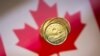 A Canadian dollar coin.