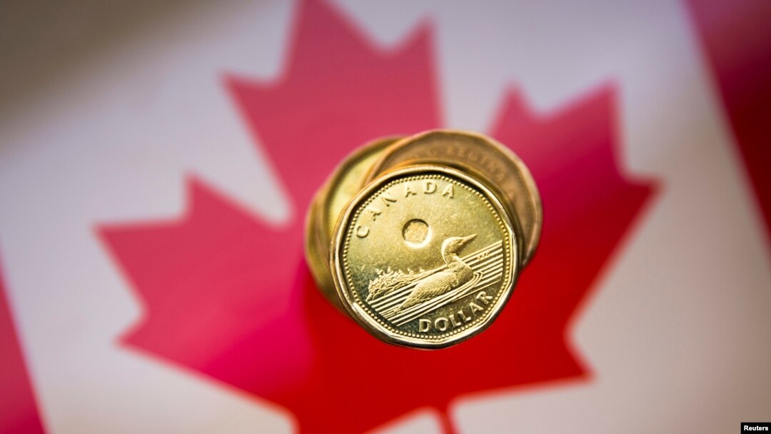 A Canadian dollar coin.