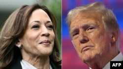 Kamala Harris - Donald Trump