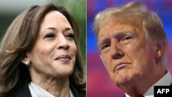 Harris - Trump