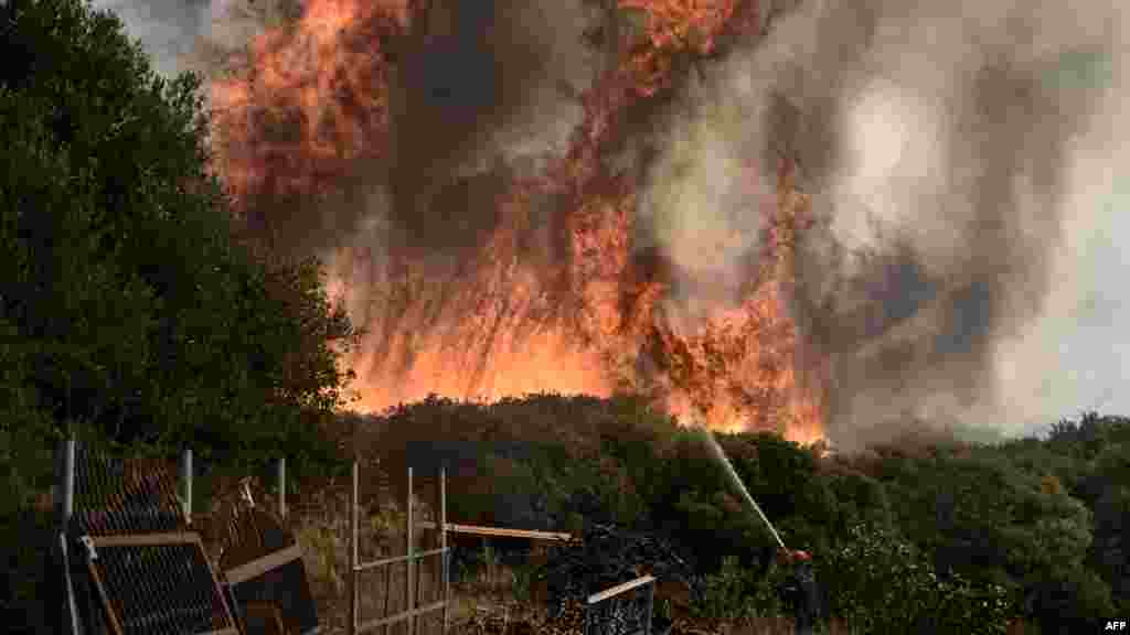 Грчки пожарникар се бори со шумскиот пожар што се шири во Дикела во близина на Александрополи, северна Грција.