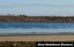 Flamingo terlihat di laguna Sijoumi di Tunis, Tunisia, 10 Agustus 2023. (Foto: REUTERS/Jihed Abidellaoui)