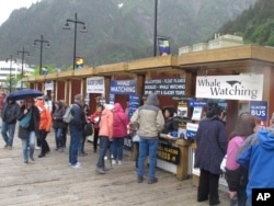 Tourists stop at booths along the sea walk on June 12, 2023, in downtown Juneau, Alaska, where they can book activities to do while they're in town. As the Mendenhall Glacier continues to recede, tourists are flooding into Juneau. A record number of cruise ship passengers are expected this year in the city of about 30,000 people. (AP Photo/Becky Bohrer)