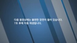  [미국의 선택 2024] 해리스와 트럼프의 가자전쟁 접근법