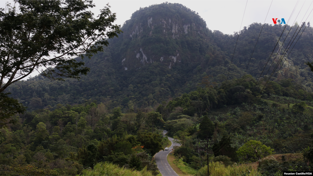 Nicaragua lleva un "acelerado" deterioro en las pérdidas de sus bosques, según expertos.
