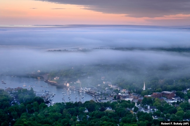 Layers of fog drift over in Camden, Maine, Tuesday, June 4, 2024. Many in the seaside community were outraged when they heard about a homeowner poisoning their neighbors trees for a view of the harbor on Penobscot Bay.(AP Photo/Robert F. Bukaty)