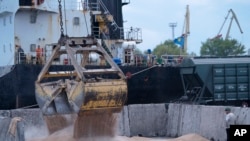 Sejumlah pekerja tampak memproses gandum yang masuk ke pelabuhan gandum Izmail di Ukraina, pada 26 April 2023. (Foto: AP/Andrew Kravchenko)