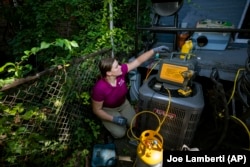 Jennifer Byrne, owner and technician at Comfy Heating and Cooling, works on an air conditioning condenser unit in Philadelphia on Thursday, Sept. 14, 2023. (AP Photo/Joe Lamberti)