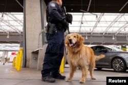 El oficial de Aduanas y Protección Fronteriza Joseph Arcia y su compañero Goose, un golden retriever de seis años, patrullan el tráfico que llega desde México mientras trabajan a lo largo de la frontera de San Ysidro en San Diego, California, EEUU, el 29 de mayo de 2024.