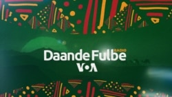 Daande Fulɓe (aljuma kala 16:30 GMT: Hande en kaalan fii tiɗnaare sukaaɓe e banŋe taariindi, wano toppitagol tuuɗe poore.