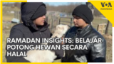 Ramadan Insights: Belajar Potong Hewan Secara Halal di Peternakan Ramah Keluarga