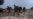 Israeli Army Opens Probe Into Killing of 2 Palestinians at Close Range