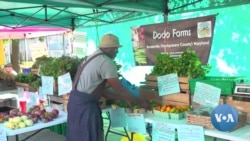 Nigerian Entrepreneurs Find Success in US Agricultural Sector