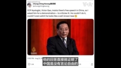 流亡港人邝颂晴：高志凯在节目中的发言证明中国没有言论自由