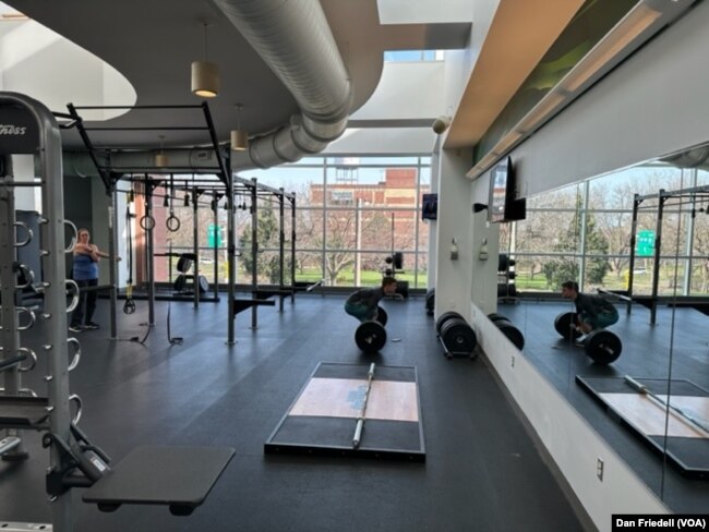 A person lifts weights at the CSU recreation center.