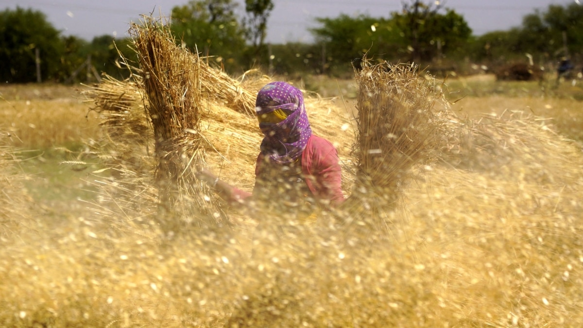 It's Time to 'Separate the Wheat from the Chaff'