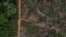 Una vista aérea muestra una parcela deforestada de la selva amazónica brasileña, en Apui, estado de Amazonas, una las reivindicaciones de los pueblos indígenas en Brasil; visto el 4 de septiembre de 2021.