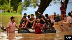 Floods triggered by torrential rains have swamped a swath of low-lying Bangladesh. People wade through flood waters in Feni, Bangladesh, Aug. 23, 2024. 