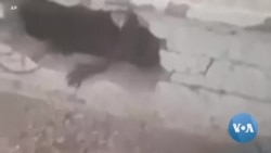 Sudanese Army Rescues Trapped Students Amid Fighting