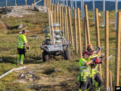 Norway Rebuilding Reindeer Fence Along Russian Border to Stop Costly  Hooves' Crossings