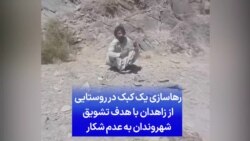 رهاسازی یک کبک در روستایی از زاهدان با هدف تشویق شهروندان به عدم شکار