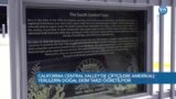 California Central Valley'de çiftçilere Amerikalı yerlilerin doğal ekim tarzı öğretiliyor